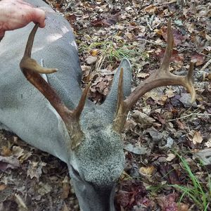 Meet your Posher, Jessie